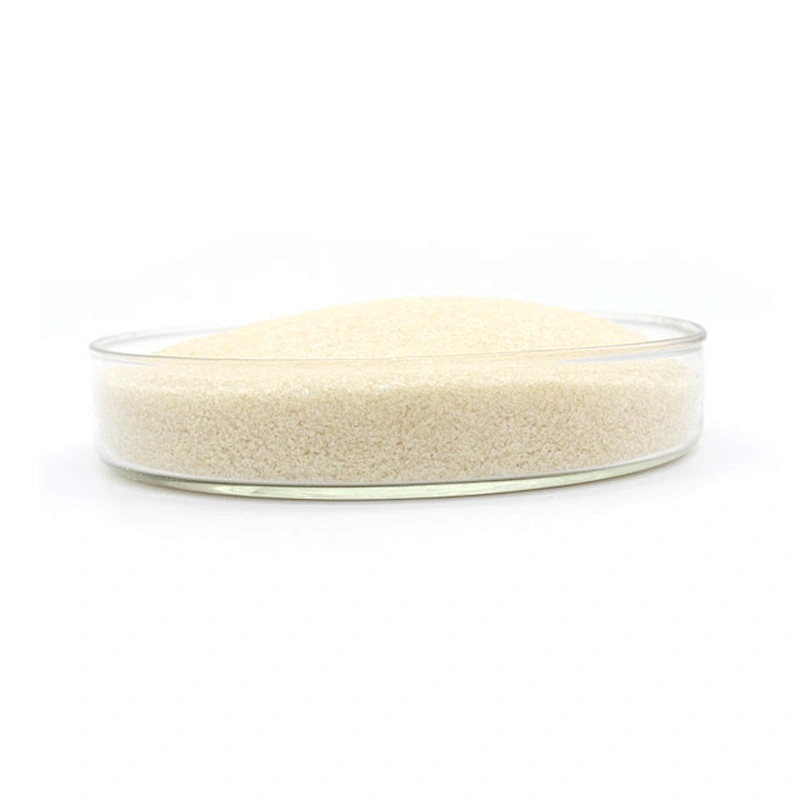Gelatin Food Grade CAS 9000-70-8 Bloom Best Quality